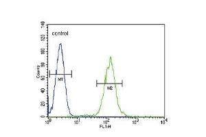 Flow cytometric analysis of HL-60 cells (right histogram) compared to a negative control cell (left histogram). (PLA2G2D anticorps  (C-Term))