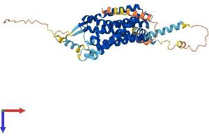AlphaFold protein structure predicition of Mouse Recombinant Hcrtr1 Protein, UniprotID P58307