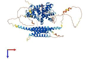 AlphaFold protein structure predicition of Human Recombinant GIT2 Protein, UniprotID Q14161