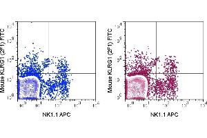 C57Bl/6 splenocytes were stained with APC Anti-Mouse NK1.