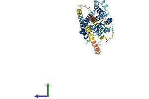 AlphaFold protein structure predicition of Human Recombinant PTGER2 Protein, UniprotID P43116
