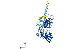 AlphaFold protein structure predicition of Mouse Recombinant Prkar1a Protein, UniprotID Q9DBC7