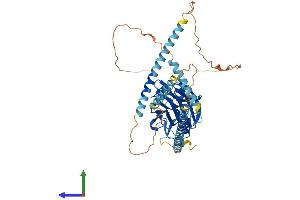 AlphaFold protein structure predicition of Mouse Recombinant Nptxr Protein, UniprotID Q99J85