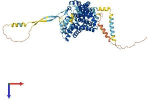 AlphaFold protein structure predicition of Mouse Recombinant Slc1a6 Protein, UniprotID O35544