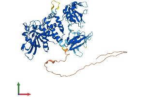 AlphaFold protein structure predicition of Human Recombinant PTPN6 Protein, UniprotID P29350