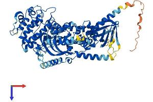 AlphaFold protein structure predicition of Human Recombinant GRK3 Protein, UniprotID P35626