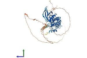 AlphaFold protein structure predicition of Human Recombinant CAMKV Protein, UniprotID Q8NCB2