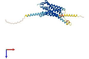 AlphaFold protein structure predicition of Mouse Recombinant Npsr1 Protein, UniprotID Q8BZP8