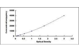 Defensin beta 2 (BD-2) ELISA Kit