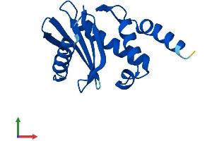 AlphaFold protein structure predicition of Human Recombinant AP4S1 Protein, UniprotID Q9Y587