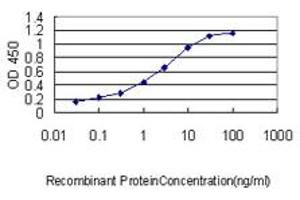 Detection limit for recombinant GST tagged SLA2 is approximately 0. (SLAP2 anticorps  (AA 1-261))