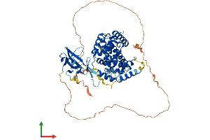 AlphaFold protein structure predicition of Human Recombinant SH2D3A Protein, UniprotID Q9BRG2