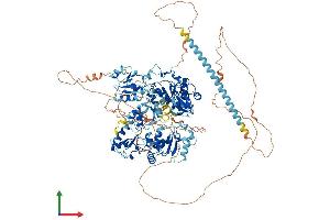 AlphaFold protein structure predicition of Human Recombinant PAXIP1 Protein, UniprotID Q6ZW49