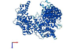 AlphaFold protein structure predicition of Human Recombinant KPNB1 Protein, UniprotID Q14974