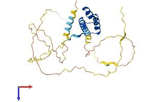 AlphaFold protein structure predicition of Human Recombinant PHOX2A Protein, UniprotID O14813