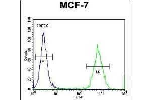 GPD1L Antibody (N-term) (ABIN654680 and ABIN2844374) flow cytometric analysis of MCF-7 cells (right histogram) compared to a negative control cell (left histogram). (GPD1L anticorps  (N-Term))