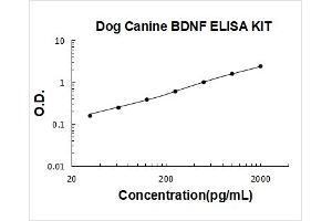 Dog BDNF PicoKine ELISA Kit standard curve