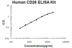 Human CD26/DPP4 Accusignal ELISA Kit Human CD26/DPP4 AccuSignal ELISA Kit standard curve.