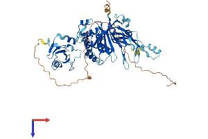 AlphaFold protein structure predicition of Human Recombinant USP39 Protein, UniprotID Q53GS9