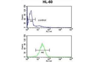 Flow Cytometry (FACS) image for anti-Hydroxysteroid (17-Beta) Dehydrogenase 7 (HSD17B7) antibody (ABIN3002789)