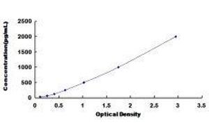 ELISA image for Sulfotransferase Family, Cytosolic, 1A, Phenol-Preferring, Member 1 (SULT1A1) ELISA Kit (ABIN433221)