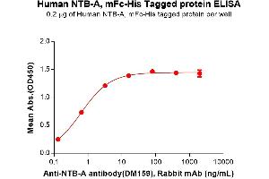 ELISA plate pre-coated by 2 μg/mL (100 μL/well) Human NTB-A Protein, mFc-His Tag (ABIN6961121, ABIN7042271 and ABIN7042272) can bind Anti-NTB-A antibody(DM159), Rabbit mAb in a linear range of 0.
