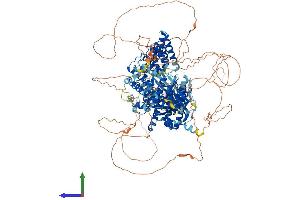 AlphaFold protein structure predicition of Human Recombinant ALPK1 Protein, UniprotID Q96QP1