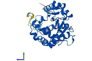 AlphaFold protein structure predicition of Mouse Recombinant Sult2a1 Protein, UniprotID P52843