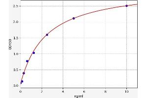 Typical standard curve (Musculin Kit ELISA)