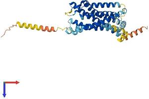 AlphaFold protein structure predicition of Human Recombinant CXCR5 Protein, UniprotID P32302
