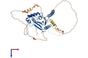 AlphaFold protein structure predicition of Mouse Recombinant Otud1 Protein, UniprotID Q9CUB6