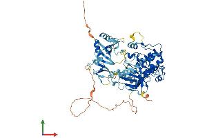 AlphaFold protein structure predicition of Human Recombinant PRKCZ Protein, UniprotID Q05513