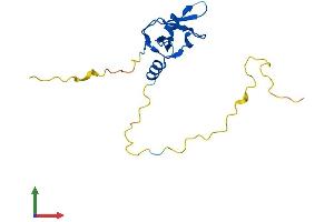 AlphaFold protein structure predicition of Human Recombinant RNF224 Protein, UniprotID P0DH78
