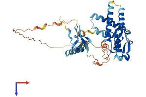 AlphaFold protein structure predicition of Human Recombinant MORF4L1 Protein, UniprotID Q9UBU8