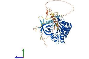 AlphaFold protein structure predicition of Human Recombinant IP6K1 Protein, UniprotID Q92551