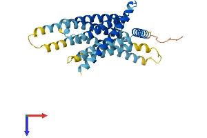 AlphaFold protein structure predicition of Human Recombinant TAS2R14 Protein, UniprotID Q9NYV8