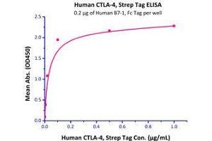 Immobilized Recombinant Human CD80 /B7-1 Protein, With C-Fc Tag  with a linear range of 1-20 ng/mL.