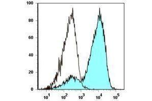 Flow Cytometry (FACS) image for anti-Egf-Like Module Containing, Mucin-Like, Hormone Receptor-Like 1 (EMR1) antibody (APC-Cy7) (ABIN2660538)