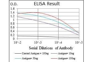 Black line: Control Antigen (100 ng), Purple line: Antigen(10 ng), Blue line: Antigen (50 ng), Red line: Antigen (100 ng), (MSH6 anticorps)