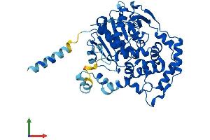 AlphaFold protein structure predicition of Mouse Recombinant Ephx1 Protein, UniprotID Q9D379