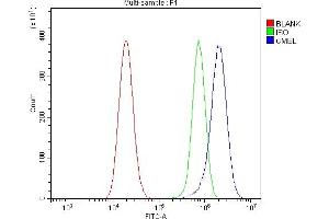 Flow Cytometry analysis of U20S cells using anti-L/CMBL antibody (ABIN7599150). (CMBL anticorps  (AA 1-246))