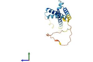 AlphaFold protein structure predicition of Human Recombinant HES5 Protein, UniprotID Q5TA89