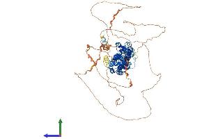 AlphaFold protein structure predicition of Mouse Recombinant Arhgap17 Protein, UniprotID Q3UIA2