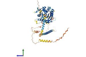 AlphaFold protein structure predicition of Human Recombinant KIF12 Protein, UniprotID Q96FN5