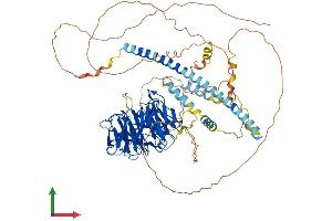 AlphaFold protein structure predicition of Human Recombinant STRN3 Protein, UniprotID Q13033