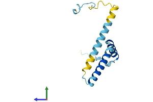 AlphaFold protein structure predicition of Human Recombinant FAM32A Protein, UniprotID Q9Y421