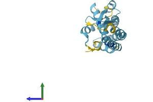 AlphaFold protein structure predicition of Human Recombinant COMMD4 Protein, UniprotID Q9H0A8