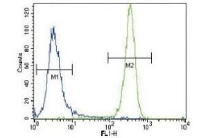 NRAS antibody flow cytometric analysis of NCI-H460 cells (green) compared to a negative control (blue).