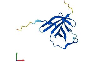 AlphaFold protein structure predicition of Mouse Recombinant Tcl1a Protein, UniprotID P56280