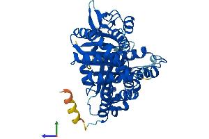 AlphaFold protein structure predicition of Mouse Recombinant Tubb4b Protein, UniprotID P68372